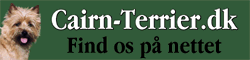 cairn-terrier.dk